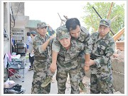 Plants: image 16 0f 25 thumb