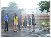 Plants: image 21 0f 35 thumb