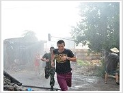 Plants: image 22 0f 35 thumb