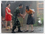 Plants: image 23 0f 35 thumb